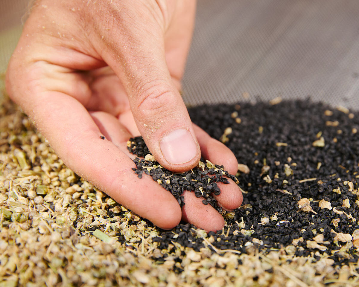 Vermehrungsanleitungen