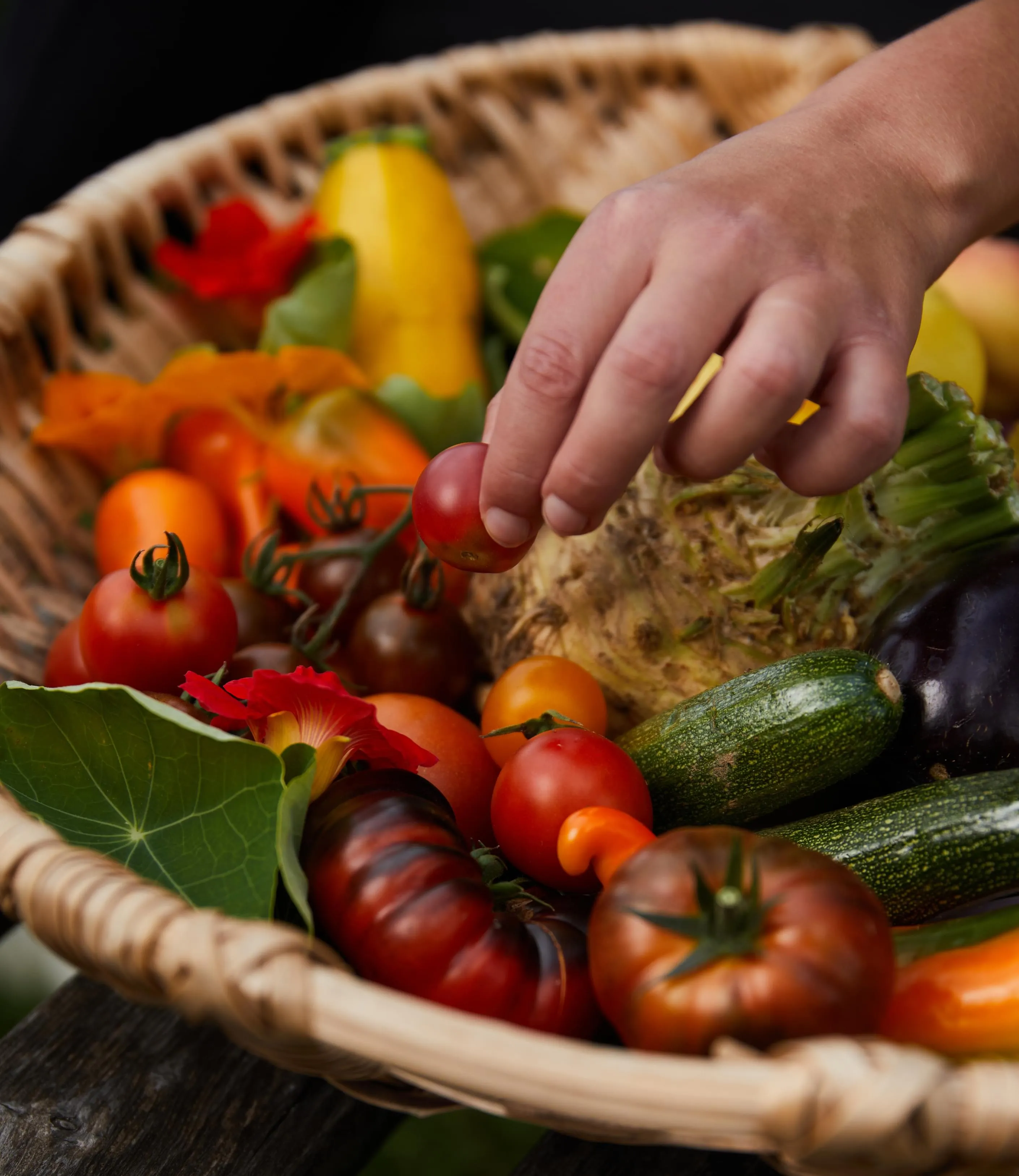 Obst und Wildobst - © Shutterstock